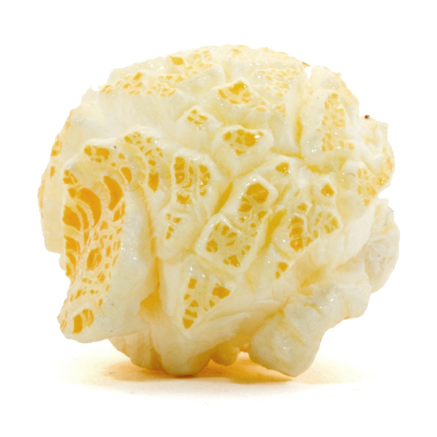 Sweet Singles- Popcorn