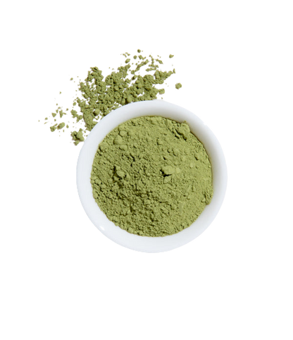 MONEY SHOT - Matcha Tea Refreshment