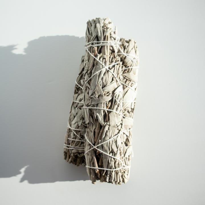 Traditional White Sage