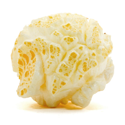 Sweet Singles-  Popcorn