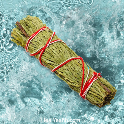 Sacred Cedar | Garden Smudge Stick -  Smudge Wand