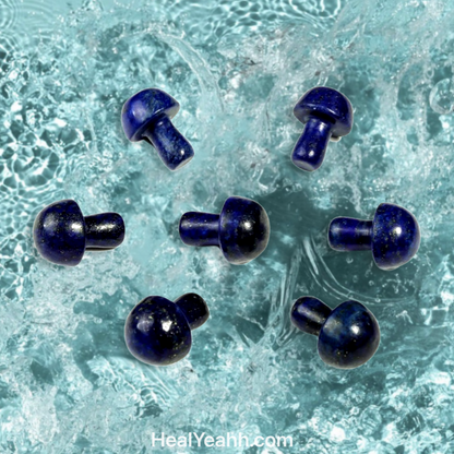 Mushroom Crystals - Mini