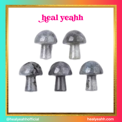 Mushroom Crystals - Mini