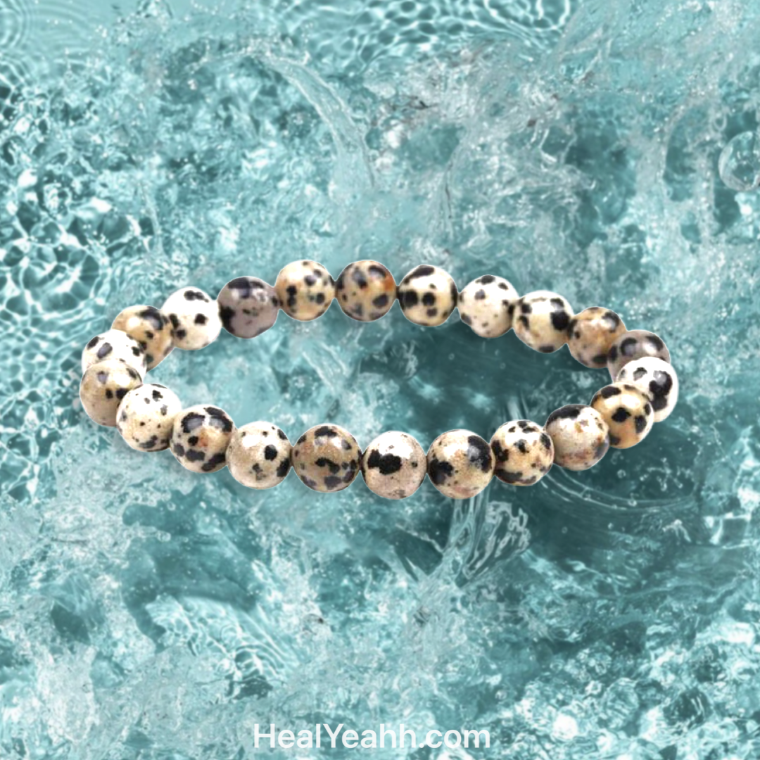 Dalmatian Jasper Crystal Bracelet