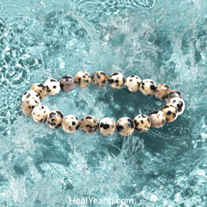 Dalmatian Jasper Crystal Bracelet