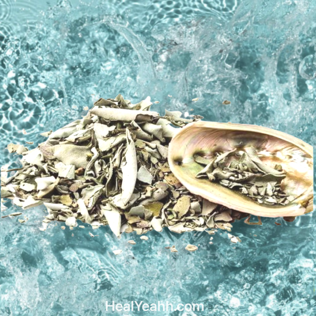 Loose White Sage with Red Abalone Shell