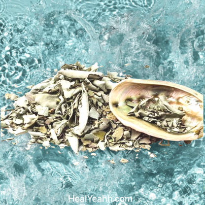 Loose White Sage with Red Abalone Shell